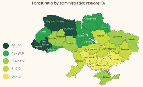 Таёжные леса и карстовые болота: какие уникальные экосистемы ...