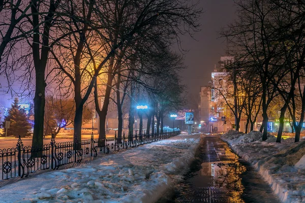 Зимний парк вечером засыпан снегом с включенными уличными ...