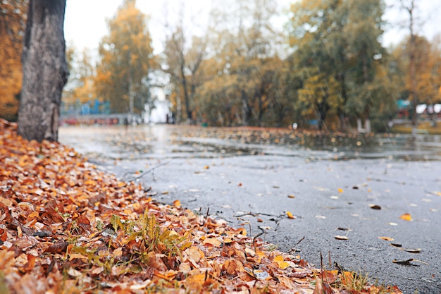 кинематографическая сцена в парке во время ночного дождя ...