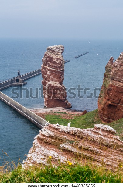 Моря и Океаны: Северное море