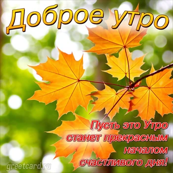 Доброе утро: картинки: кофе, чашка, цветы (утро начинается)