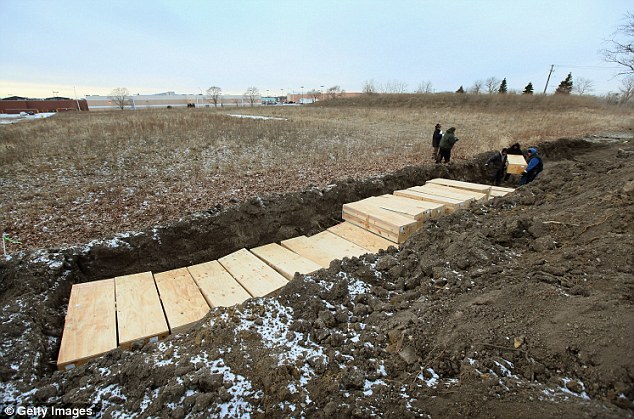 PosadiLes.ru - В Нью-Йорке открылся ...