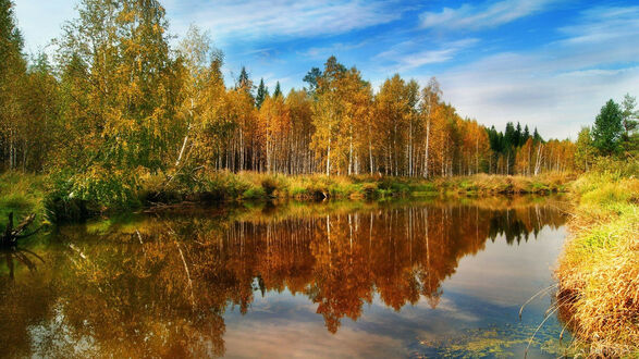 Картинки на рабочий стол осень в городе - 90 фото