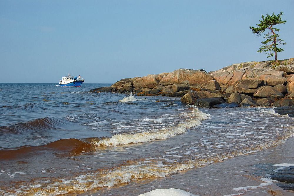 На берегу Белого моря в Архангельской области нашли мертвое ...