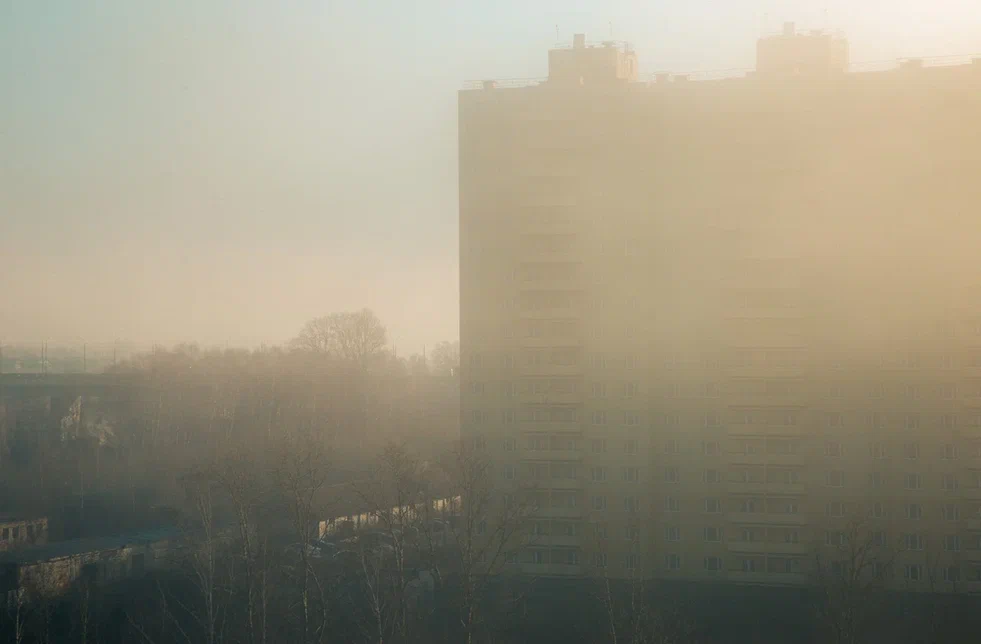 Воронежу сильный туман не грозит | 03.11.2021 | Воронеж ...