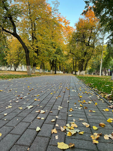 Достопримечательности Уфы: авторский ...