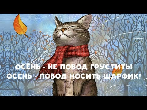 Как питаться осенью, чтобы не замерзнуть и не набрать лишний ...