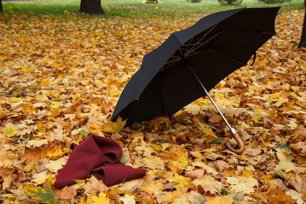 umbrella, влюблённые под дождём, фото пары под зонтом ...