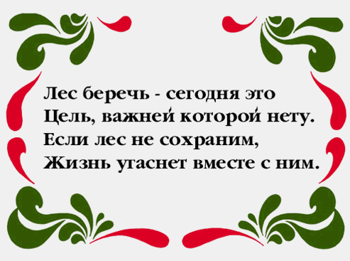 Охрана леса – дело жизни - Журнал «ЛПК Сибири»