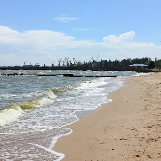 На берегу моря в Мариуполе нашли мертвого дельфина – Східний ...