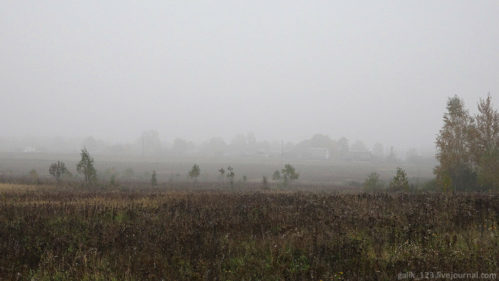 Туманное утро | Времена года. Осень ...