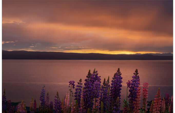 Фиолетовый закат°•`~purple sunset