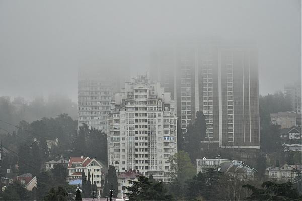 Сильный туман ожидается в ближайший час в Рязанской области ...