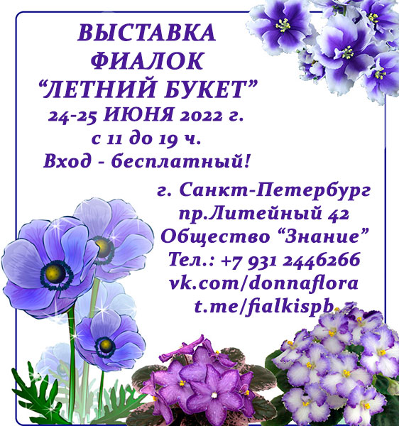 Фиалка АВ-Варенье из Лепестков Роз (876-7). Узамбарская фиалка