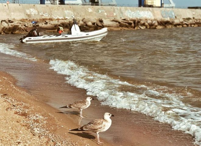 Азовское море, Мариуполь :: Татьяна Пальчикова – Социальная ...