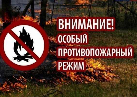 В состоянии лесов Брянской и Калужской областей наметилась ...