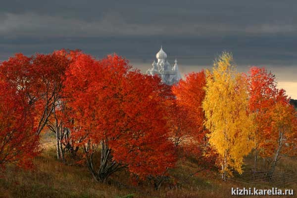 Люди, рождённые осенью #лес #природа ...