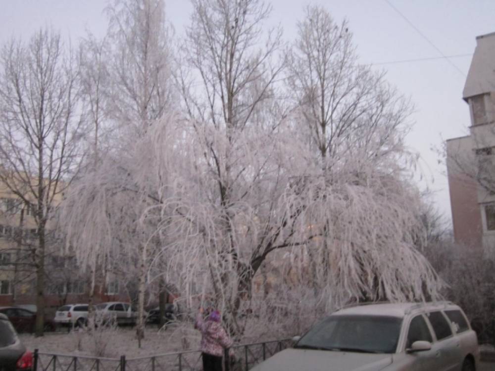 плакат здравствуй зимушка зима