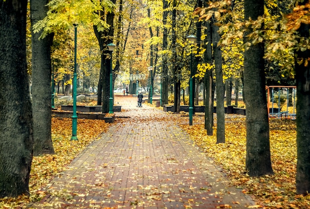 Обои на рабочий стол Золотая осень, дорожка в парке усеяна ...