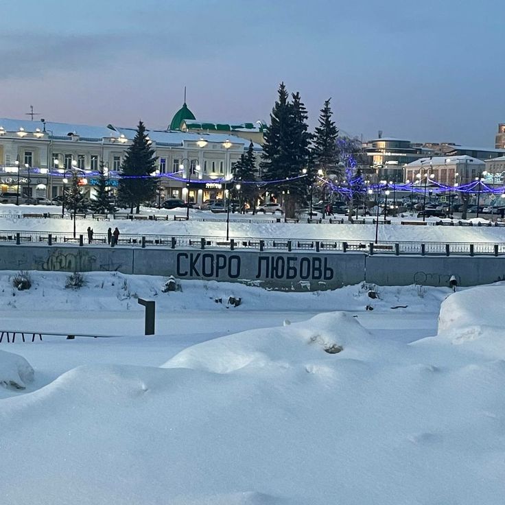 Пушистые хлопья и деревья в снегу. В Омск пришла зима ...