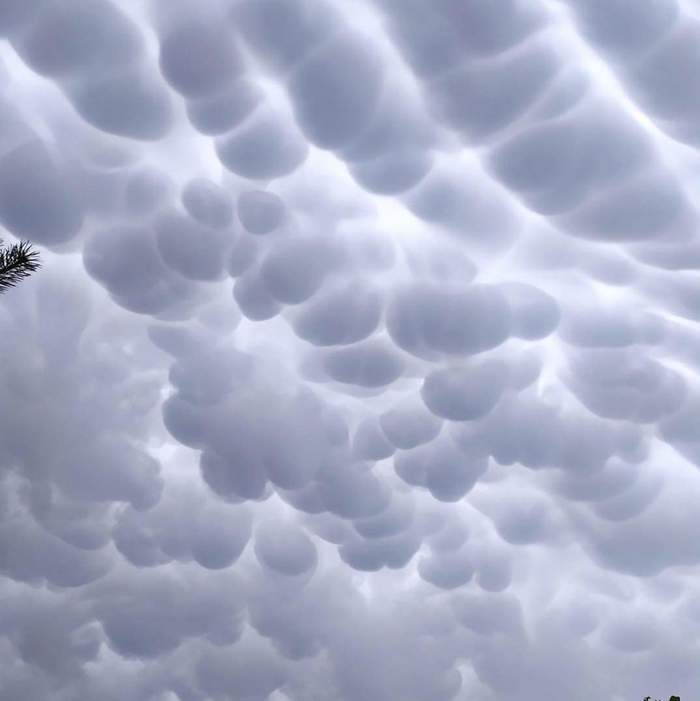 Факты: Вымеобразные облака mammatus – впечатляющее небесное ...