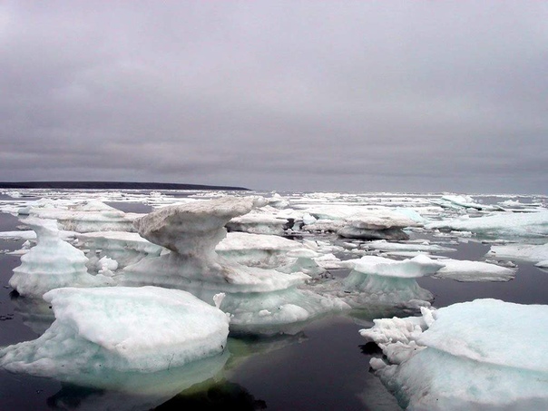 Холодные моря России: Карское, море ...