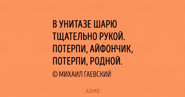 Смешные цитаты про осень на картинках: юмор и настроение