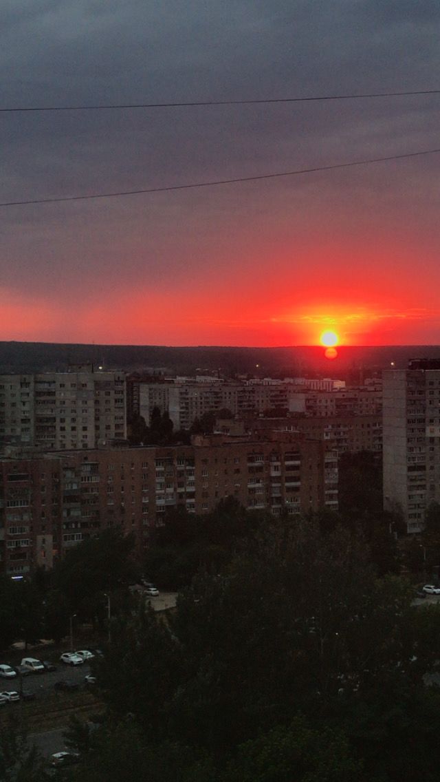 Постер Красивый закат с дельфинами