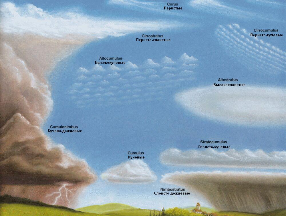 Высококучевые облака Altocumulus (Ac)