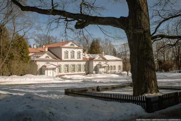 Золотая осень в Абрамцево (фокус на переднем плане) (2008 год ...