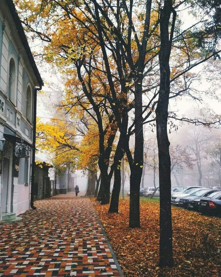 Вид на аллею и церковь с куполами осенью в городе Ставрополе ...