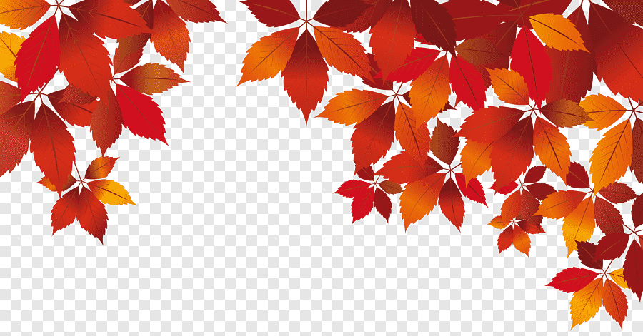 Download Autumn Leaves - Лист Клена Осень PNG Image with No ...