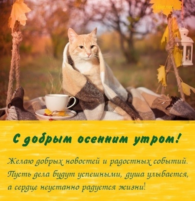 🍁 ⛅ ☕ Картинки С добрым осенним утром - скачать