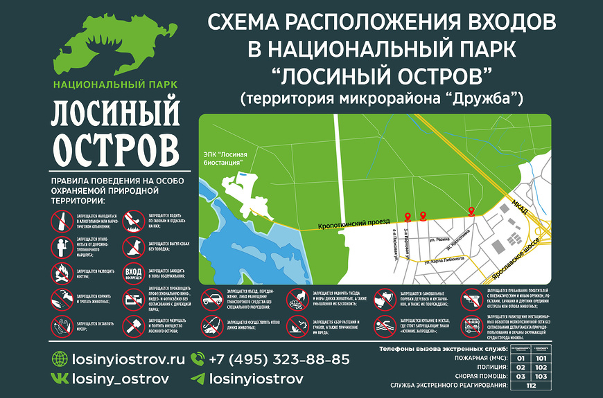 Животный мир Лосиного острова насчитывает около 200 видов ...