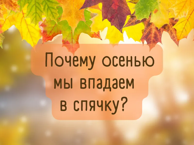 Не осень в нашей грусти виновата, а лишь отсутствие в душе ...