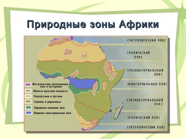 ГДЗ страница 8-9 география 7 класс контурные карты Румянцев ...