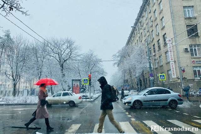 Что посмотреть в Краснодаре зимой — самостоятельно, с детьми ...