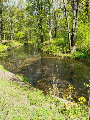 В МЧС рассказали, кто чаще остальных ...