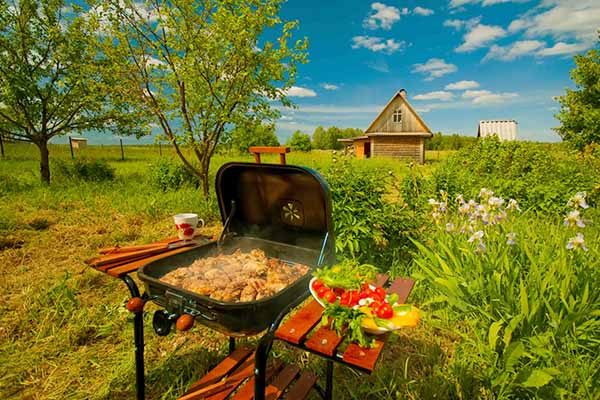 Лето на даче: пять шагов для повышения комфорта жизни за ...