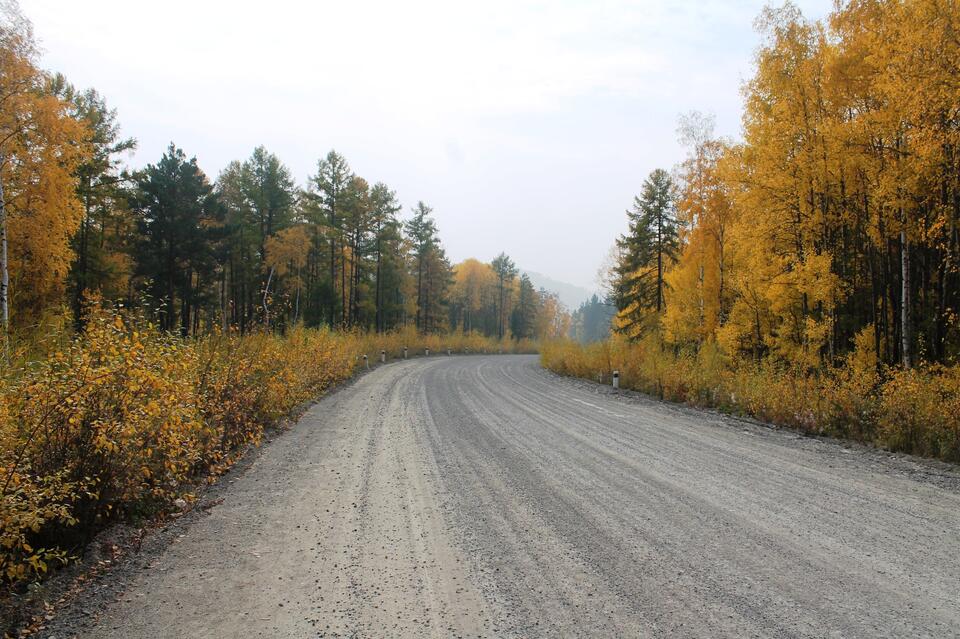 Необычный кустарник, радующий осенью ...