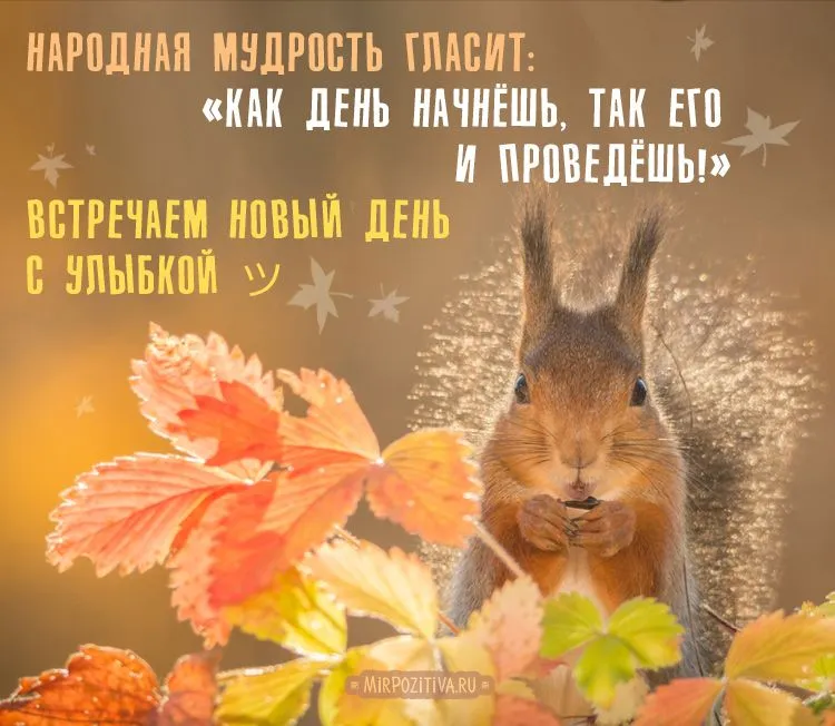 Открытка Доброе утро октября!