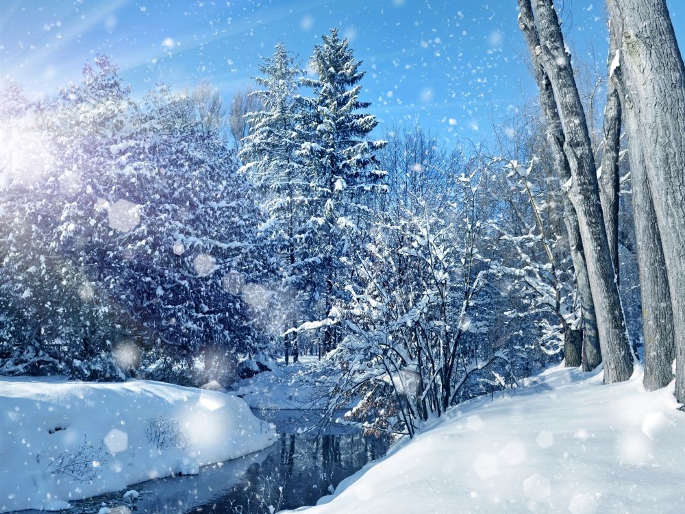 Winter by Best Live Wallpapers Free на Андроид скачать ...