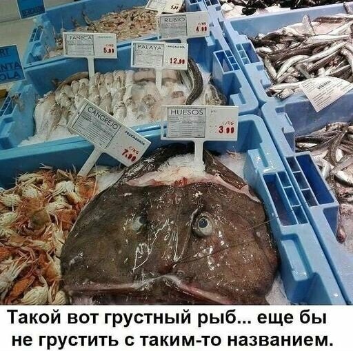 Как быть, если вас ужалил морской дракон