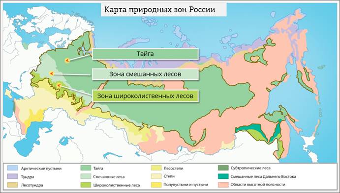 Карта растительности Смоленской области