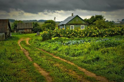 Красивые пейзажи лета – купить в ...