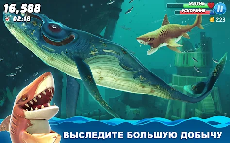 Hungry Shark Evolution (apk) – Скачать для Android