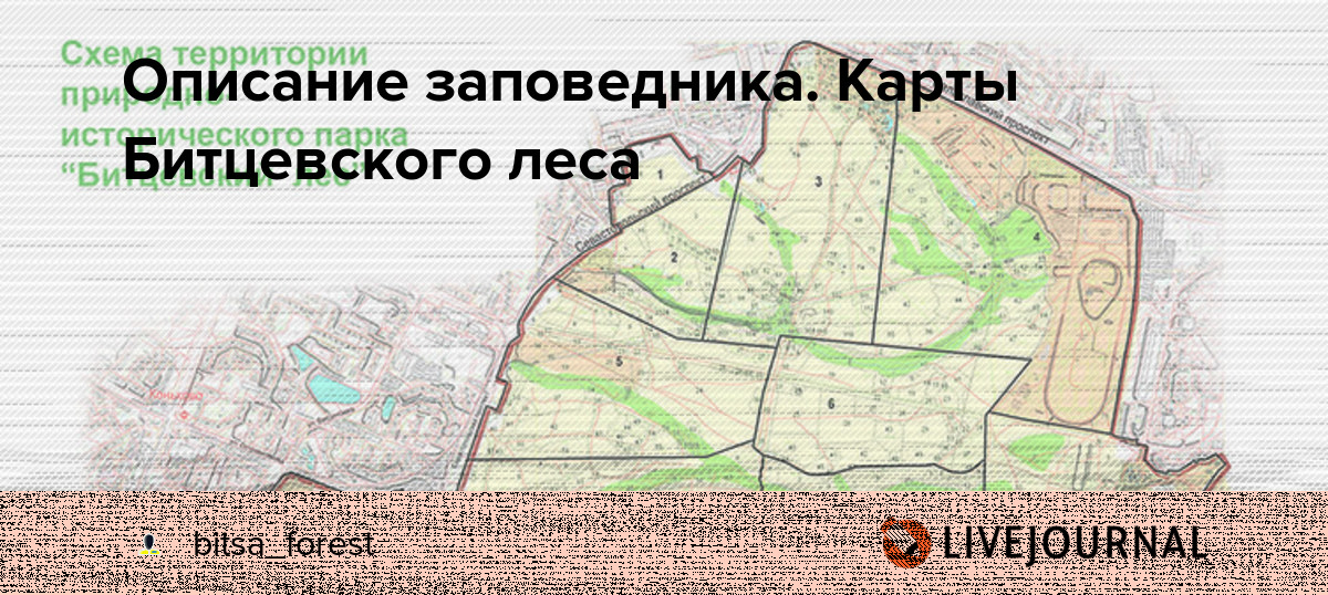 Лесные работы RMK теперь видны всем на карте в специальном ...