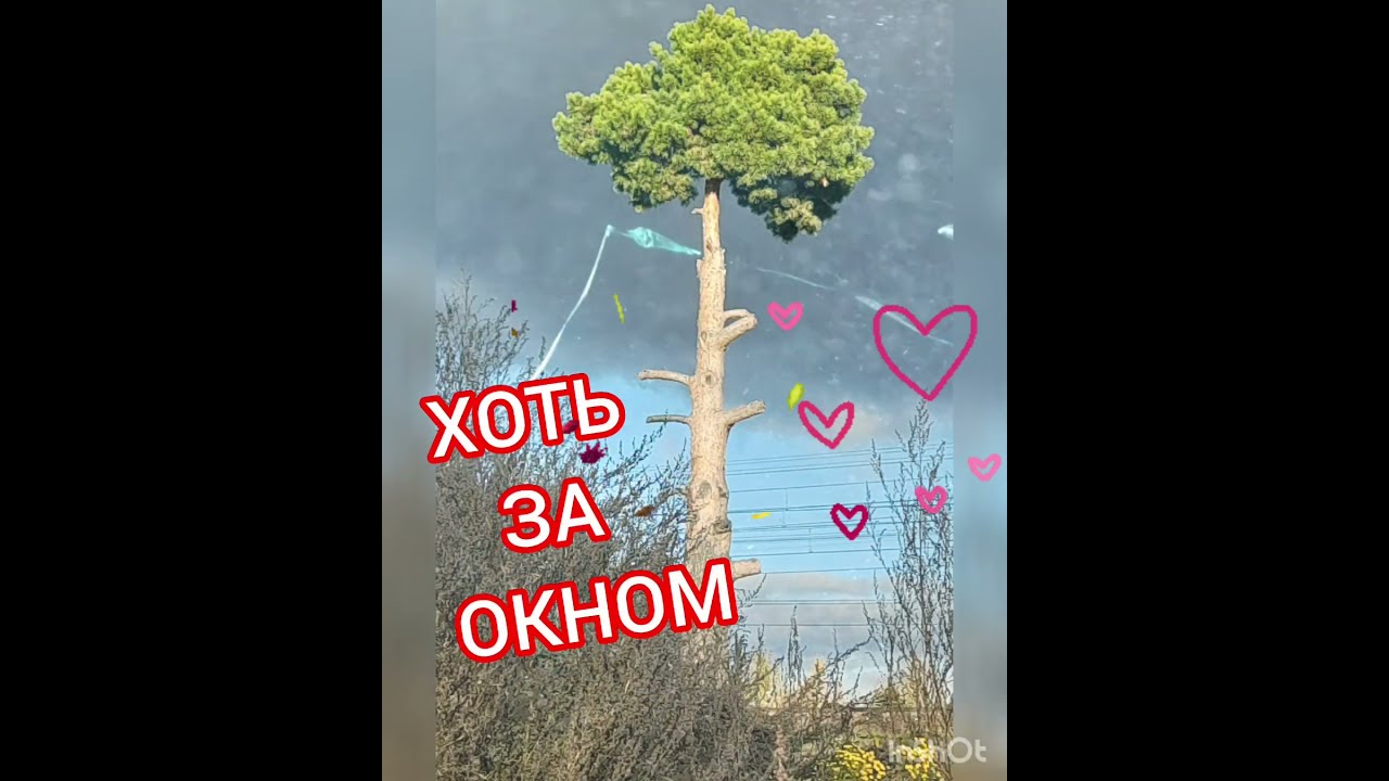 доброеутро💥#ноябрь#осень#всем хорошего дня 🤗 - YouTube